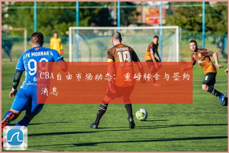 CBA自由市场动态：重磅转会与签约消息
