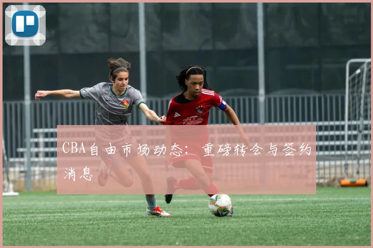 CBA自由市场动态：重磅转会与签约消息