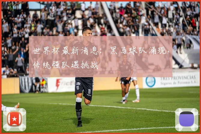 世界杯最新消息：黑马球队涌现，传统强队遇挑战