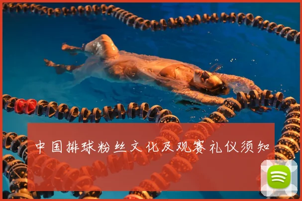 中国排球粉丝文化及观赛礼仪须知